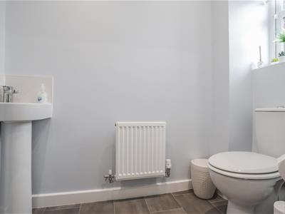 Picture 20